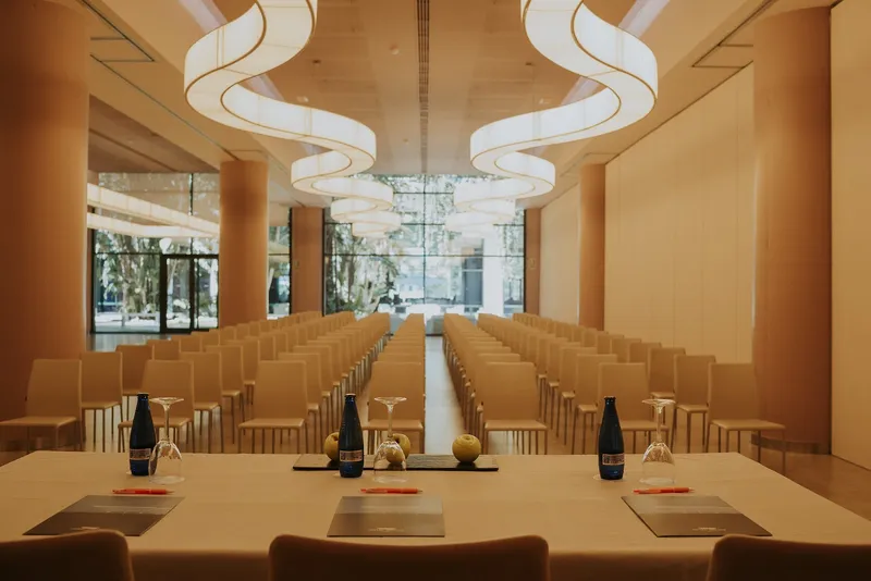Deloix: Conference room, Rows of chairs facing a top table under curved lights