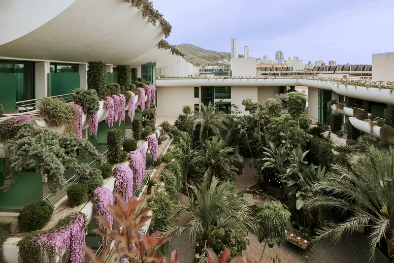 Deloix: Garden courtyard, Palm-filled courtyard framed by balconies with flowering plants