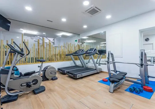 Flamingo: Gym, Gym with treadmills, exercise bike and weights bench