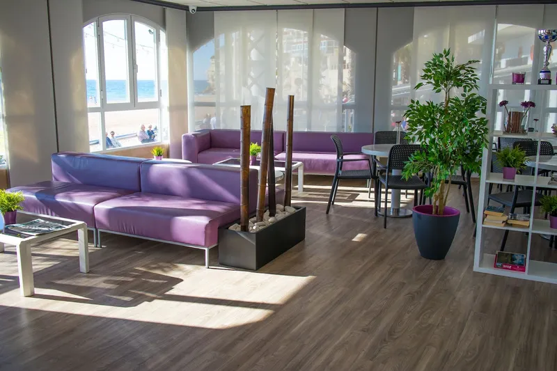 Bilbaíno: Lounge, Lounge with purple sofas, plants and beach views