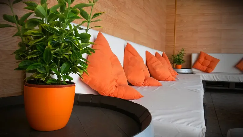 Tropic Relax: Chill-out area, White sofa with orange cushions and a potted plant