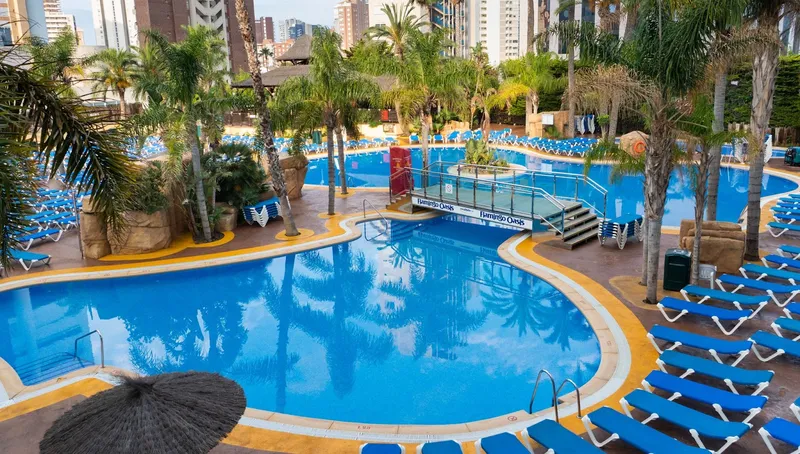 Flamingo Oasis: Lagoon pool, Curved pool with palms and rows of blue loungers