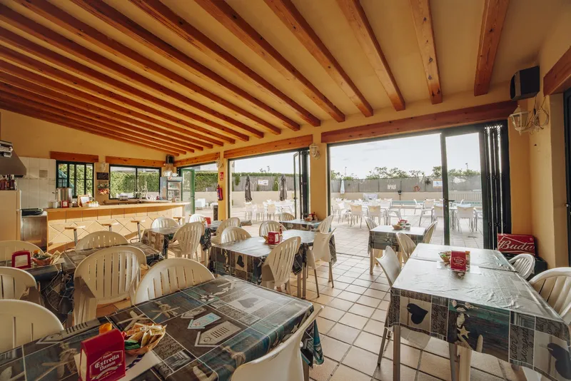 Palm Court: Cafeteria, Dining room with wooden beams and plastic chairs