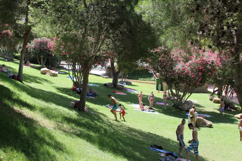 Shade and lawns: Where picnics happen: your own food is allowed, no glass
