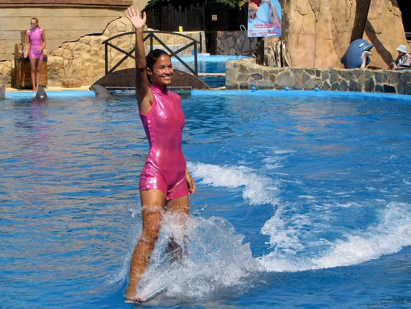 The dolphin demonstration: A trainer rides the dolphins across the pool, the moment the crowd waits for