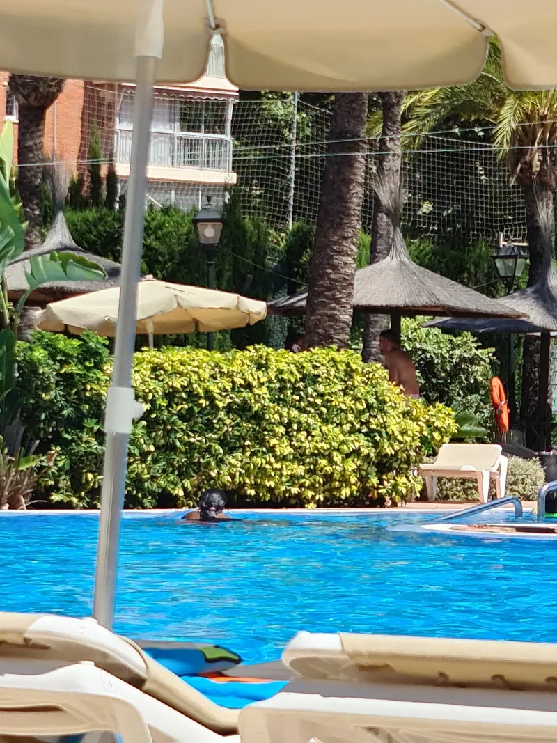 Poolside: Loungers and palms round the lagoon