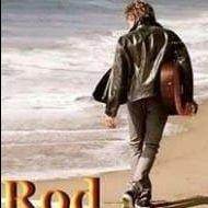 Rod Stewart Tribute By Ziggy flyer